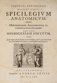 <I>Spicilegium anatomicum.</I>