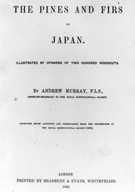 The pines and firs of Japan.