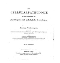 <I>Die Cellularpathologie in ihrer Begründung auf physiologische und pathologische Gewebelehre.</I>