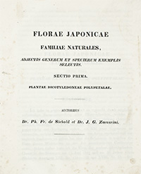 <I>Florae Japonicae familiae naturales.</I><span class=jpn>［日本植物誌分類］</span>